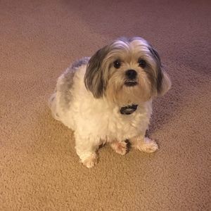 Meet your Posher, Sasithon